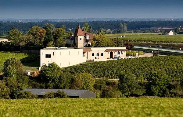 Pouilly-Fumé Barre à Mine - 2019 - Michel Redde et Fils