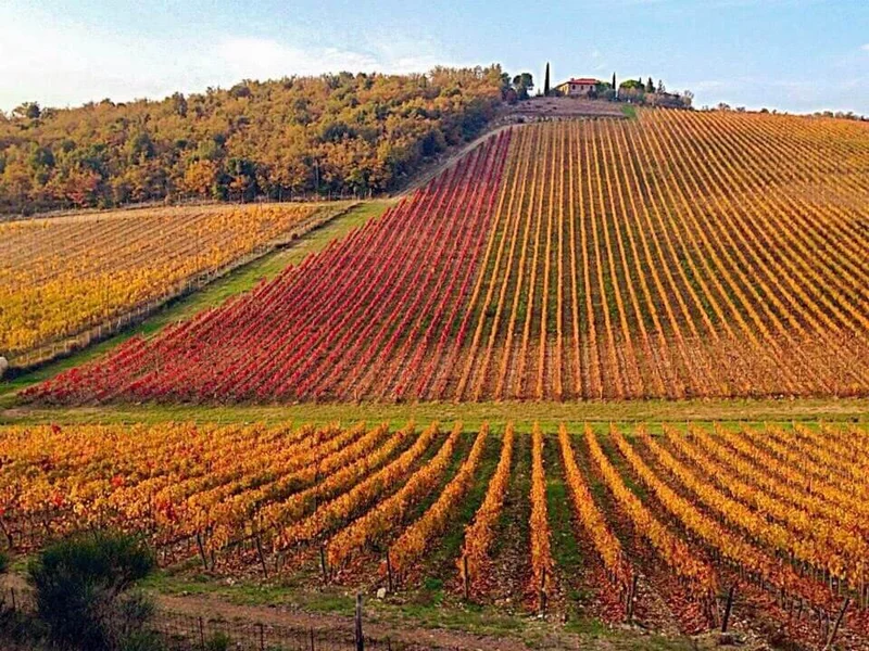 Poggio Al Vento - 2010 - Tenuta Col d'Orcia
