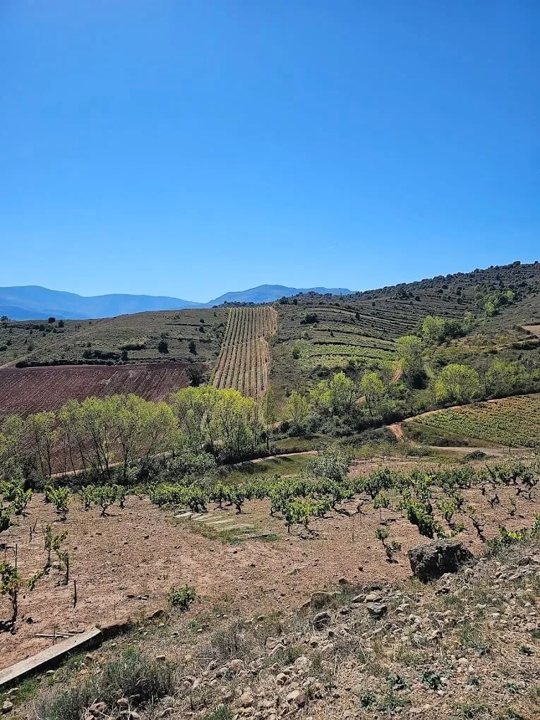 Pena El Gato Vigne centenaire Rioja Alta - 2016 - Bodegas Juan Carlos Sancha