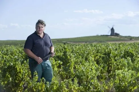 Nuits-Saint-Georges 1er Cru Les Saint-Georges - 2017 - Domaine Thibault Liger-Belair