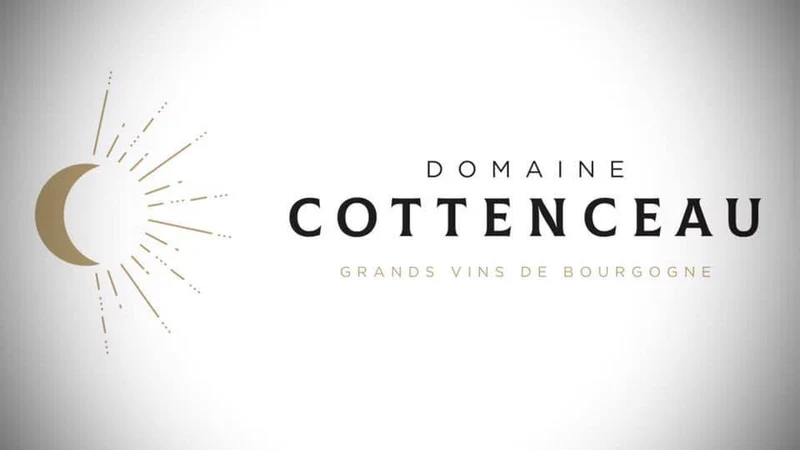 Montagny 1er Cru Les Bassets - 2019 - Domaine Cottenceau
