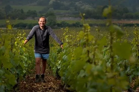 Meursault Les Tessons - 2017 - Domaine Michel Bouzereau et Fils