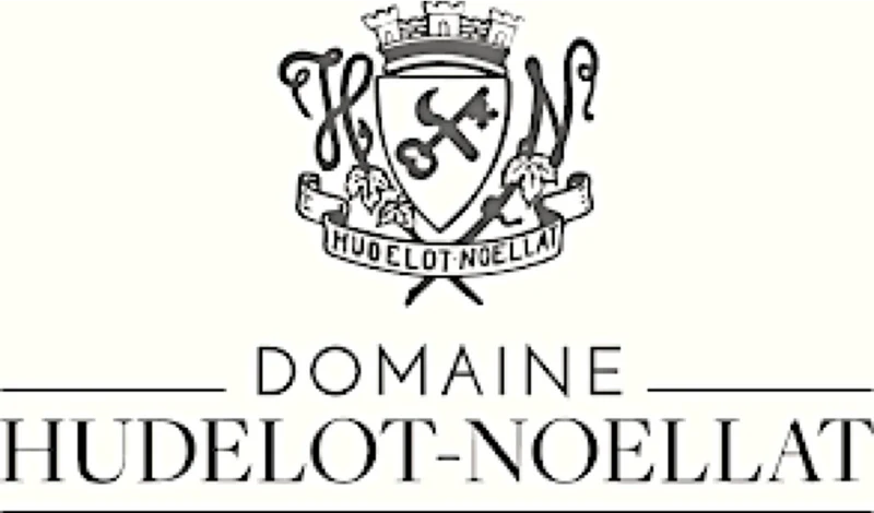 Meursault Clos des Écoles - 2017 - Domaine Hudelot-Noëllat
