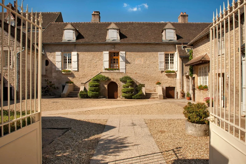 Mercurey Les Vignes de Maillonge - 2016 - Domaine Michel Juillot