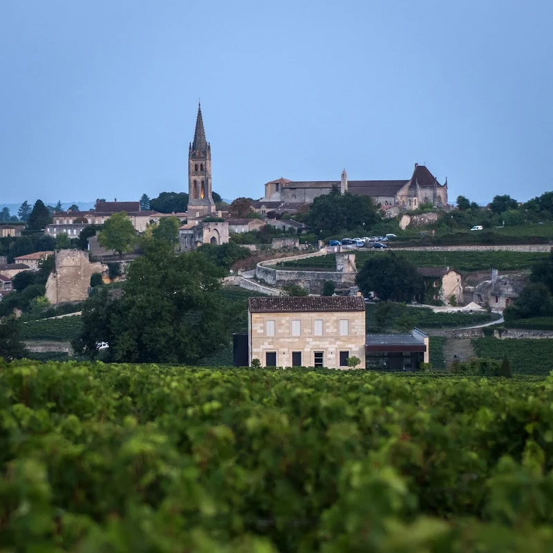 Magnum Saint-Emilion Grand Cru - 2009 - Domaine Château Pavie Macquin