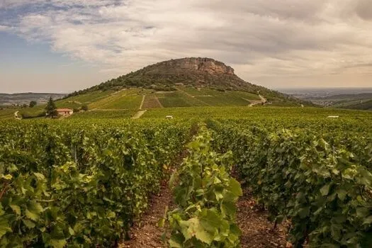 Magnum Pouilly-Fuissé Tête de Cru Perrières - 2017 - Domaine J.-A. Ferret