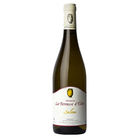 Magnum Pays d'Hérault Siclène - 2020 - Domaine La Terrasse d'Elise