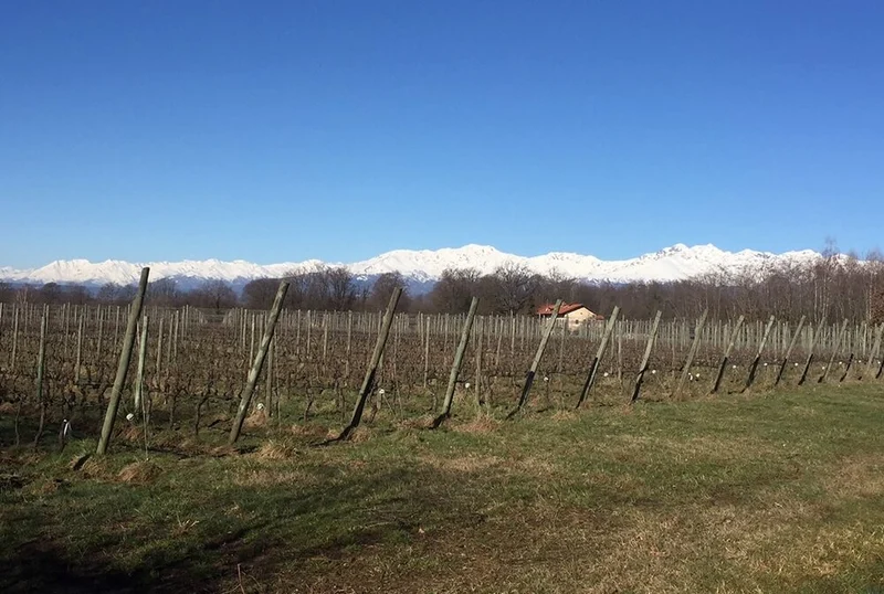 Lessona - 2012 - Proprieta Sperino