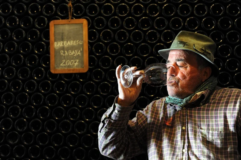 Langhe Nebbiolo - 2017 - Domaine Giuseppe Cortese