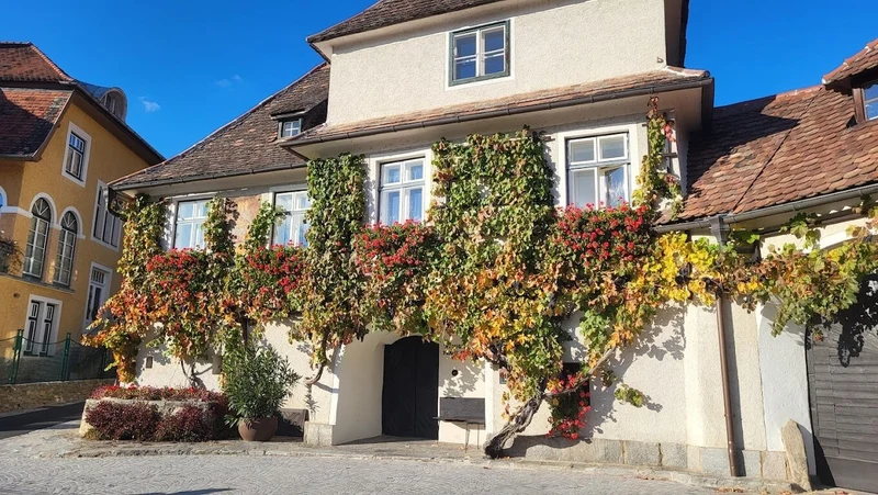 Grüner Veltliner Axpoint Smaragd - 2016 - Weingut Franz Hirtzberger