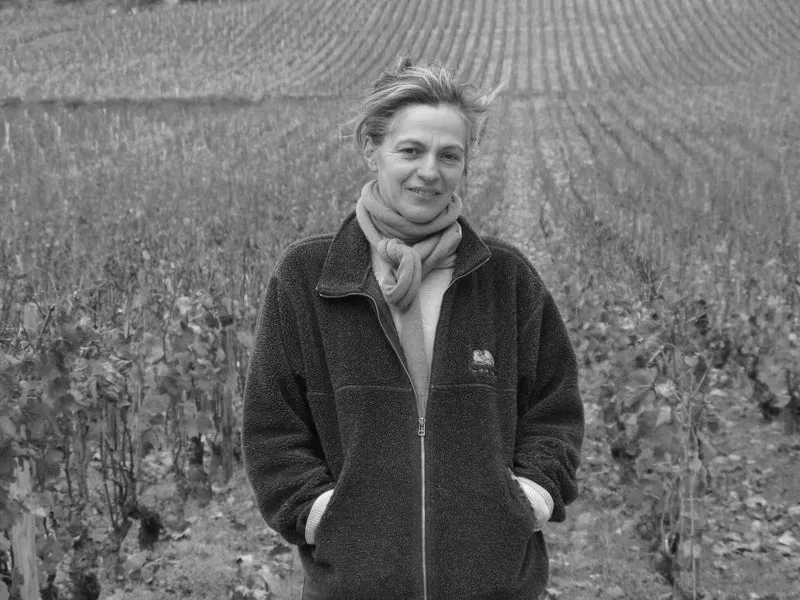 Gevrey-Chambertin Cuvée Vieilles Vignes - 2018 - Domaine Sylvie Esmonin