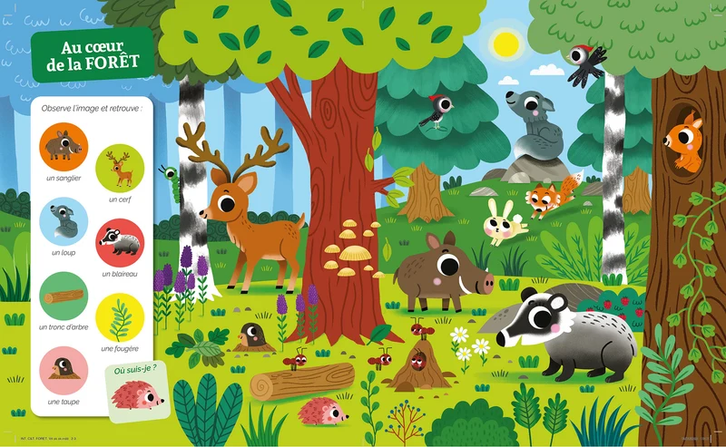 Cherche et trouve des tout-petits - Dans la forêt