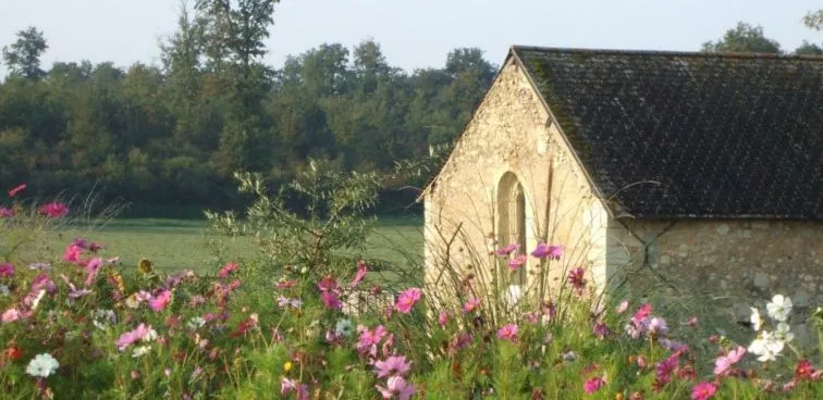 Saumur Eolithe