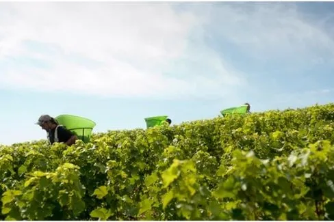 Sancerre Monts Damnés