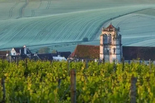 Saint-Bris La Ronce