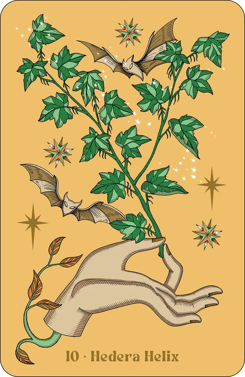 Herbarium oracle