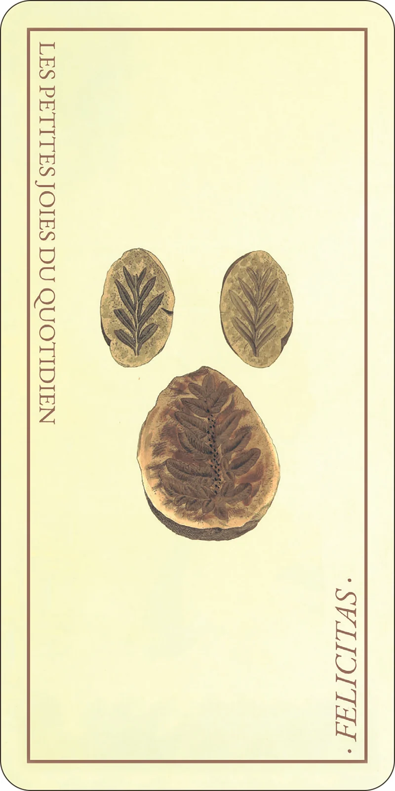 L'Oracle des minéraux