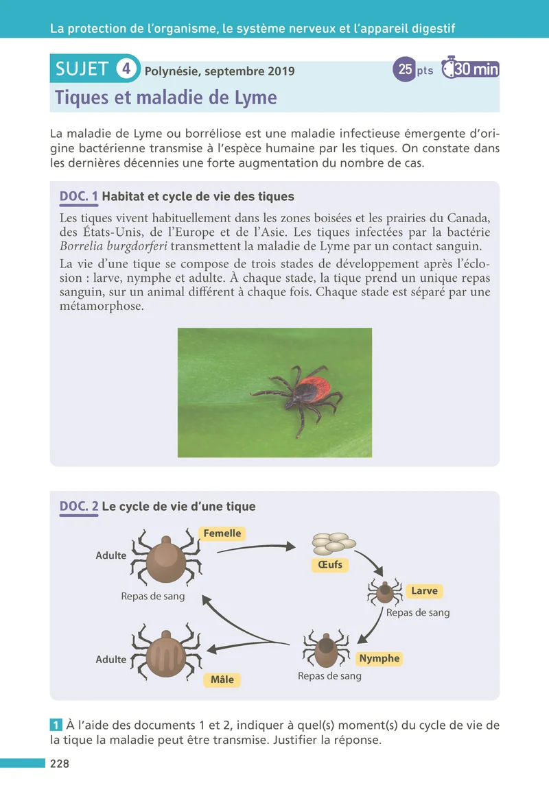 Maxi Annales Brevet 2027 - Corrigé