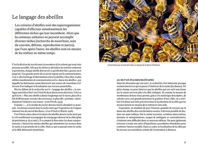Les super-pouvoirs des abeilles - Ce que nous dit la science